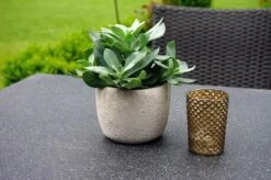 Ploß Rocking Dining Tisch, Grau/braun-meliert, Polyrattan, 90 X 90 Cm, Glasplatte In Steinoptik -Kettler Verkaufsgeschäft 4 20156.jpg