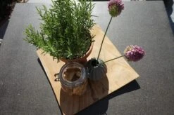 Ploß Rabida Dining Tisch, Champagner-meliert, Polyrattan, 90 X 90 Cm, Glasplatte In Steinoptik -Kettler Verkaufsgeschäft 4 20166.jpg